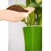 Santino Self Watering Planter Arte Transparent 8.6 inch   564101683